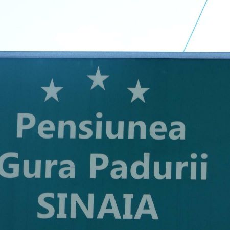 Hotel Gura Padurii Sinaia Exterior foto